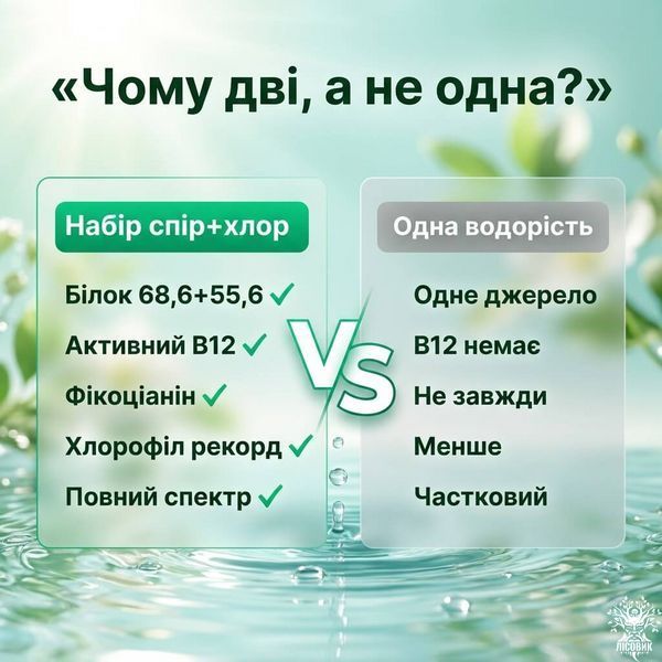 Набір &laquo;Повний спектр&raquo;: спіруліна + хлорела 100+100 г Мікродозинг фото