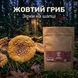 Шляпки королевского мухомора 25 г LIS-469800 фото 2