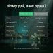 Набор &laquo;Полный спектр&raquo;: спирулина + хлорелла 250+250 г LIS-486014 фото 5