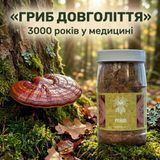Рейші/Трутовик лакований, мелені плодові тіла 50 г, Лісовик &mdash; фото товару