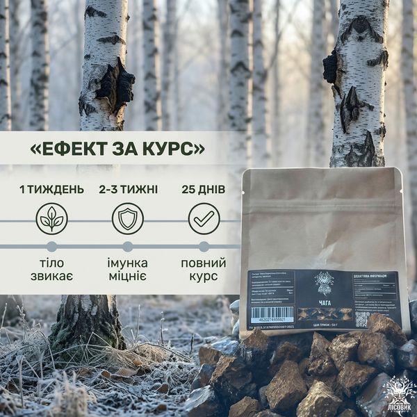 Гриб Чага березова, ціла 50г Мікродозинг фото