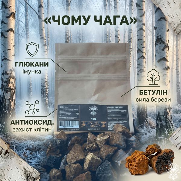 Гриб Чага березова, ціла 50г Мікродозинг фото