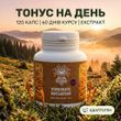 Экстракт кордицепса военного в капсулах 10:1, 120 шт по 0,5 г Микродозинг фото