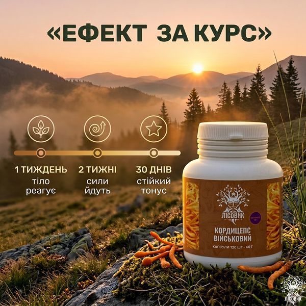Экстракт кордицепса военного в капсулах 10:1, 120 шт по 0,5 г Микродозинг фото