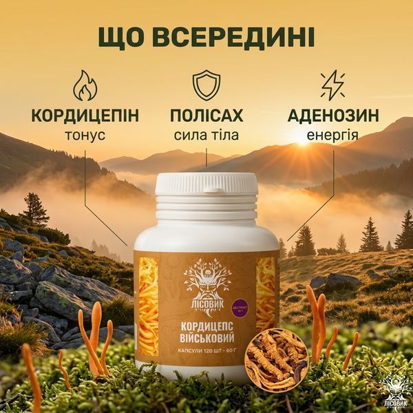 Экстракт кордицепса военного в капсулах 10:1, 120 шт по 0,5 г Микродозинг фото