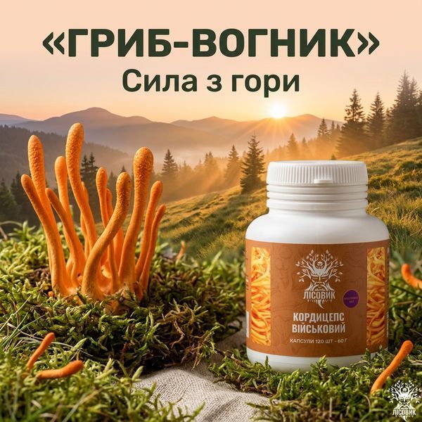 Экстракт кордицепса военного в капсулах 10:1, 120 шт по 0,5 г Микродозинг фото