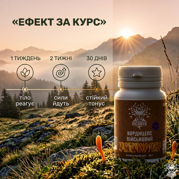 Екстракт кордицепса військового в капсулах 10:1, 60 шт по 0,5 г Мікродозинг фото