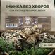 Гриби Майтаке, цілі сушені 50г LIS-481462 фото 2