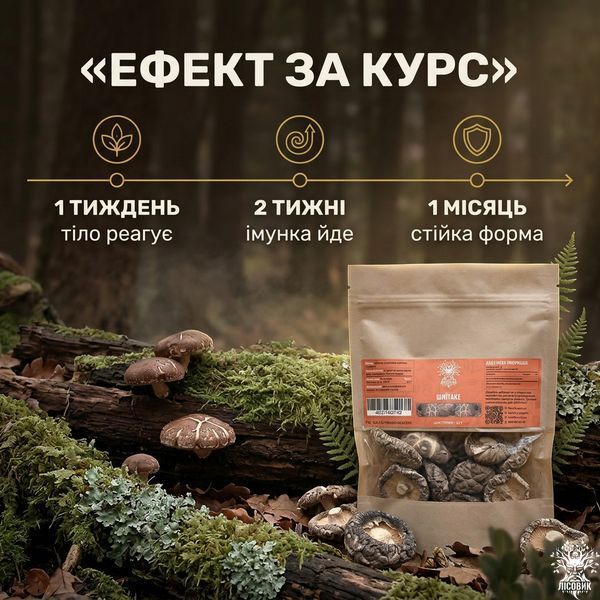 Гриби Шиїтаке сушені 50г Мікродозинг фото