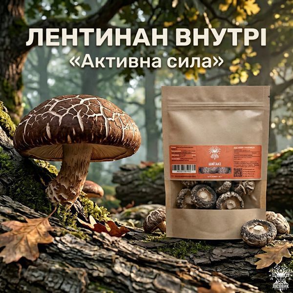 Гриби Шиїтаке сушені 50г Мікродозинг фото
