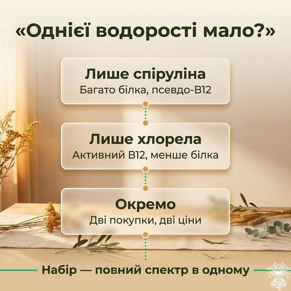 Набір &laquo;Повний спектр&raquo;: спіруліна + хлорела у таблетках 500+500 г Мікродозинг фото