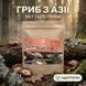 Гриби Шиїтаке сушені 50г LIS-481453 фото 1
