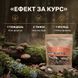 Гриби Шиїтаке сушені 50г LIS-481453 фото 4