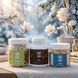 Курс Beauty Glow: Для шкіри, волосся та нігтів (2 місяця) LIS-482768 фото 5