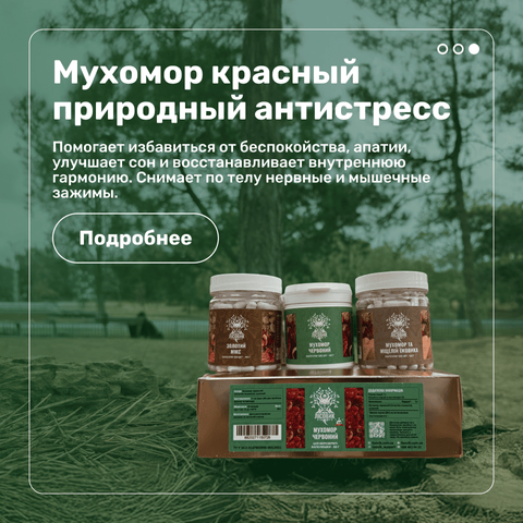 Desctop 3 мухомор