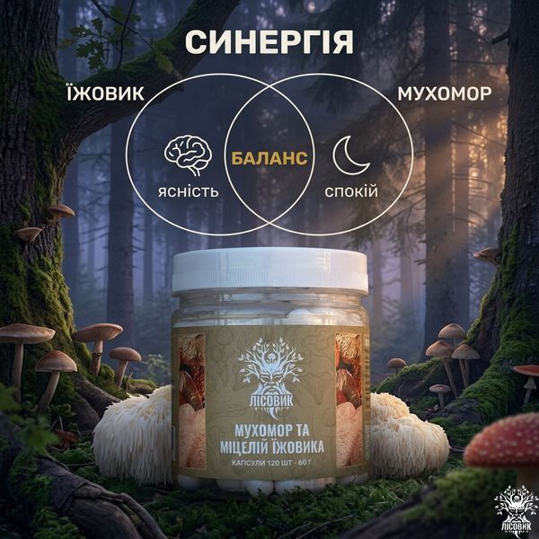 Микс мицелия Ежовика с красным мухомором в капсулах 120 шт по 0,5 г Микродозинг фото