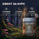Микс мицелия Ежовика с красным мухомором в капсулах 120 шт по 0,5 г LIS-469804 фото 4