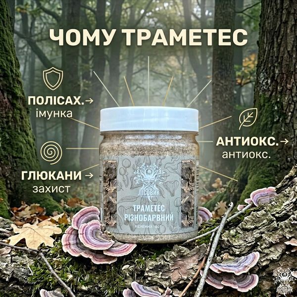 Траметес різнобарвний, мелений гриб 50 г Мікродозинг фото