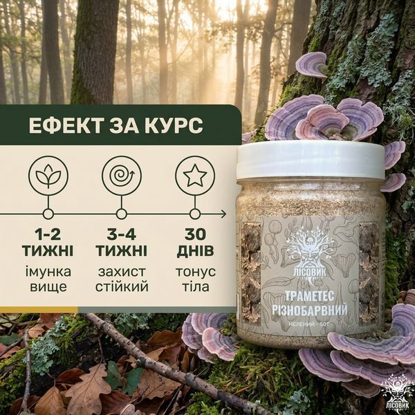 Траметес різнобарвний, мелений гриб 50 г Мікродозинг фото
