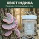 Траметес різнобарвний, мелений гриб 50 г LIS-481504 фото 2