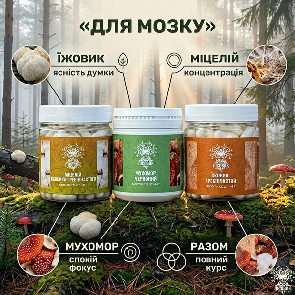 Курс MindBoost: Мікродозинг для Розуму (2 місяця) Мікродозинг фото