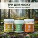 Курс MindBoost: Мікродозинг для Розуму (2 місяця) LIS-470003 фото 2