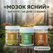 Курс MindBoost: Мікродозинг для Розуму (2 місяця) LIS-470003 фото 1