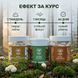 Курс MindBoost: Мікродозинг для Розуму (2 місяця) LIS-470003 фото 3