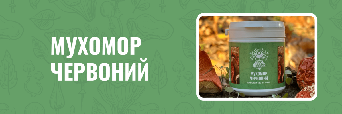 Мухомор червоний мікродозинг фото