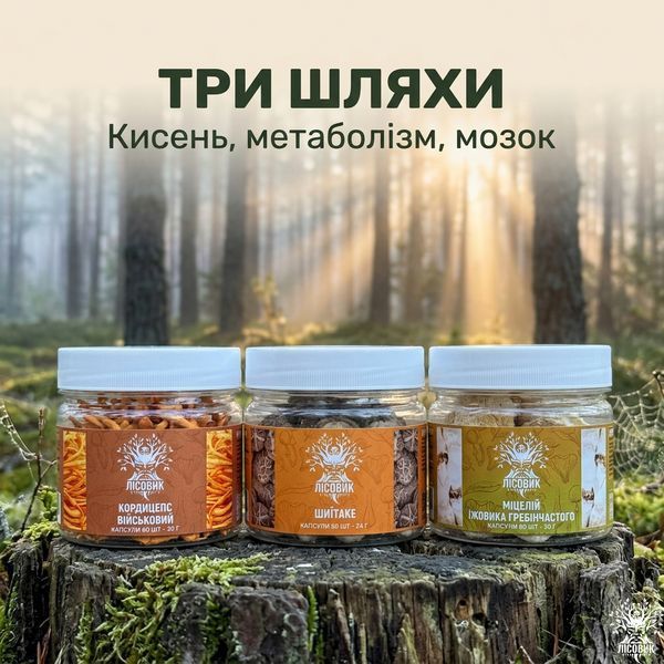 Курс Focus Flow: Концентрация и продуктивность (1 месяц) Микродозинг фото
