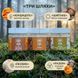 Курс Focus Flow: Концентрация и продуктивность (1 месяц) LIS-482755 фото 3