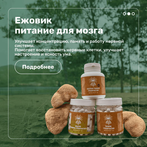 Desctop 3 ежовик
