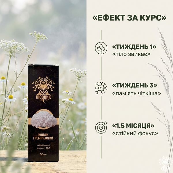 Рідкий екстракт, Їжовика гребінчастого 50 мл Мікродозинг фото