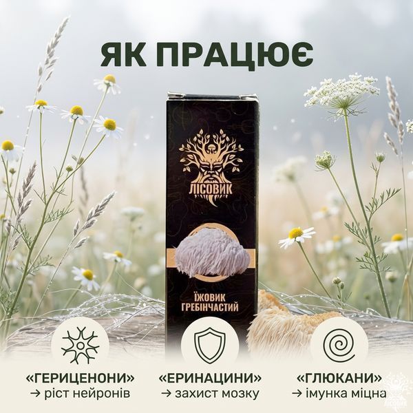 Рідкий екстракт, Їжовика гребінчастого 50 мл Мікродозинг фото