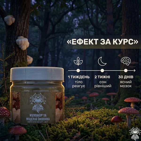 Микс мицелия Ежовика с красным мухомором в капсулах 60 шт по 0,5 г Микродозинг фото