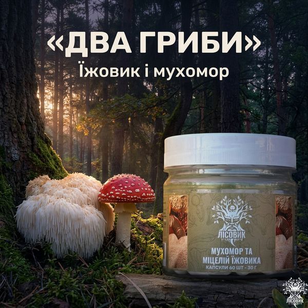 Микс мицелия Ежовика с красным мухомором в капсулах 60 шт по 0,5 г Микродозинг фото