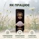 Рідкий екстракт, Їжовика гребінчастого 50 мл LIS-484283 фото 3