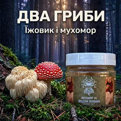 Молотый микс мухомора и мицелия ежовика, 50 г — Лісовик