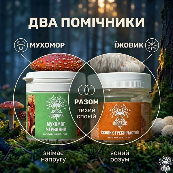 Курс Антистрес: Мухомор та Їжовик (1 місяць) Мікродозинг фото