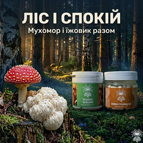 Курс Антистрес: Мухомор та Їжовик (1 місяць) Мікродозинг фото
