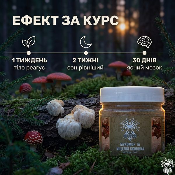 Микс мицелия Ежовика с красным мухомором, молотый 50 г Микродозинг фото