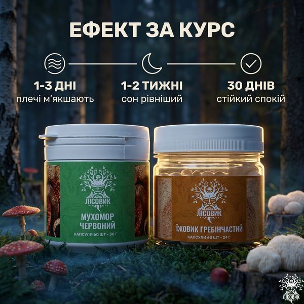Курс Антистрес: Мухомор та Їжовик (1 місяць) Мікродозинг фото