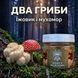 Микс мицелия Ежовика с красным мухомором, молотый 50 г LIS-469805 фото 1