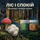 Курс Антистрес: Мухомор та Їжовик (1 місяць) LIS-470004 фото 2