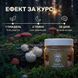 Микс мицелия Ежовика с красным мухомором, молотый 50 г LIS-469805 фото 4