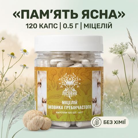 Мицелий ежовика гребенчатого в капсулах 120 шт по 0,5 г Микродозинг фото