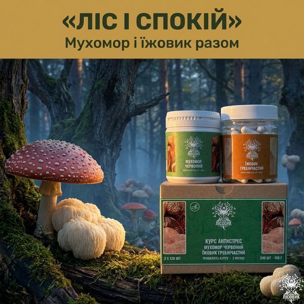 Курс Антистресс: Мухомор и Ежовик (2 месяца) Микродозинг фото