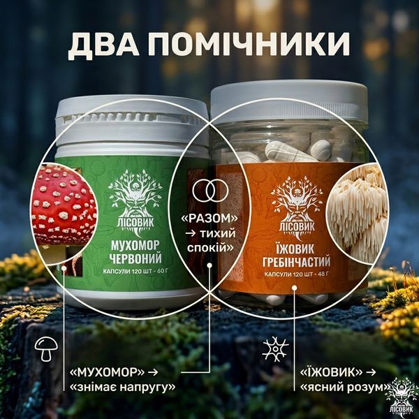 Курс Антистресс: Мухомор и Ежовик (2 месяца) Микродозинг фото