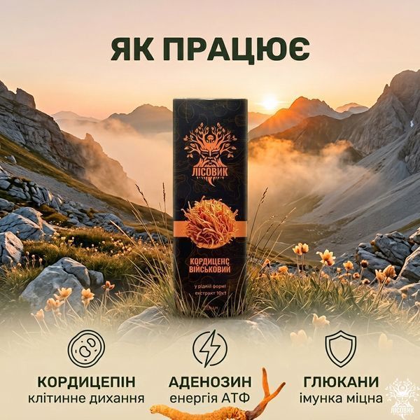 Рідкий екстракт, Кордицепса військового 50 мл Мікродозинг фото