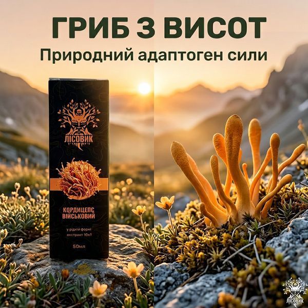 Рідкий екстракт, Кордицепса військового 50 мл Мікродозинг фото